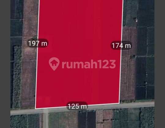 Industrial Land in Jetis Mojokerto 2.3 Hectares