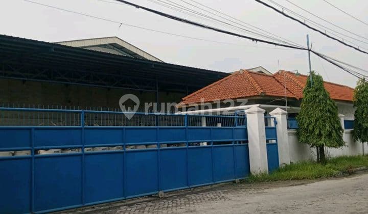 Gudang Siap Pakai Tambak Sawah Waru 1,2 Hektar 70M