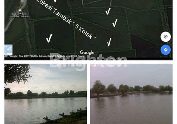 6 Hectare Pond Land Near Strategic Juanda Terminal