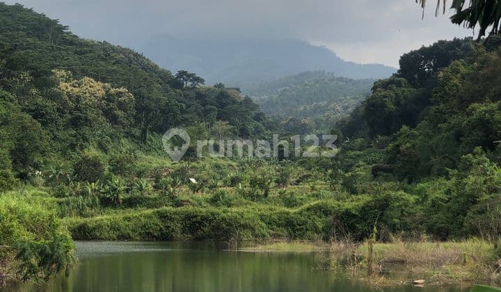 Lahan Jatirejo Mojosari 5 Hektar Murah 175Rb/M SHM Cocok Buat Cottage