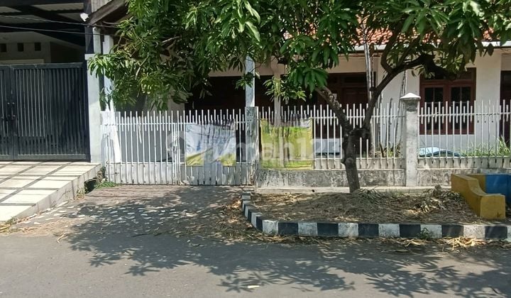 Dijual Rumah Minimalis Darmo Baru Barat Dijual Rumah Minimalis Darmo Baru Barat
