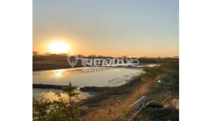 Dijual Tanah Tambak di Gebang Cirebon #MEL21OKT25