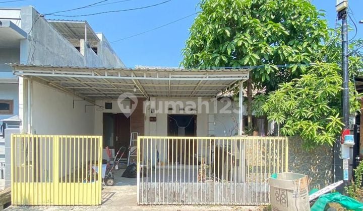 DIJUAL RUMAH SIAP HUNI jl.GIOK Driyorejo - Gresik DIJUAL RUMAH SIAP HUNI jl.GIOK Driyorejo - Gresik