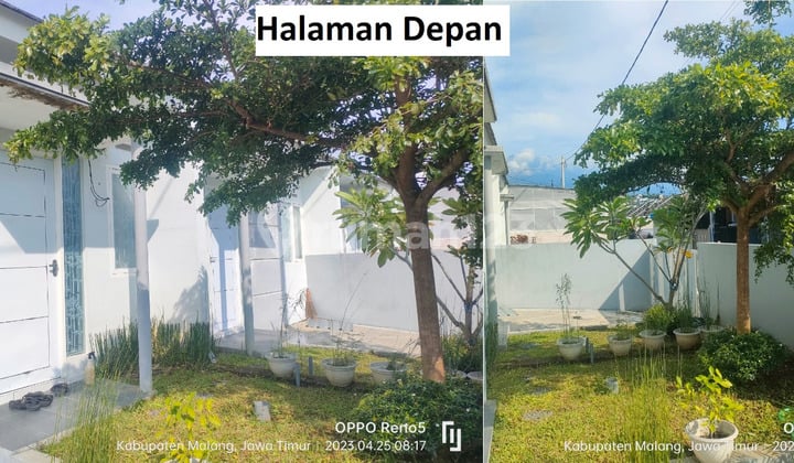 Disewakan/Dikontrakkan Rumah Sejuk di Wagir Malang, Murah Strategis