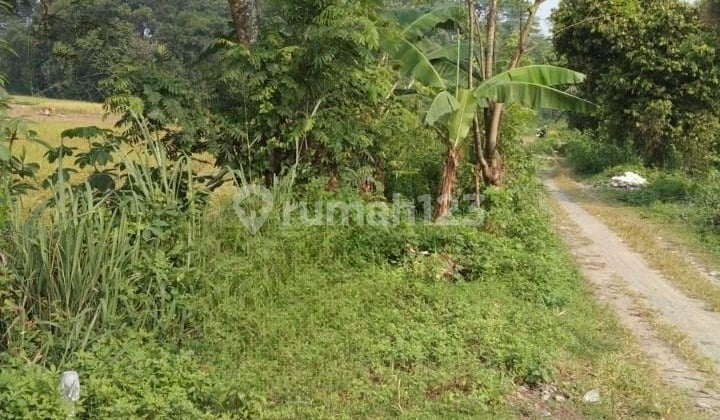 Di jual cepat Tanah di legok kab Tangerang