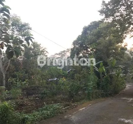 Tanah bisa untuk Investasi dan Bangun Rumah