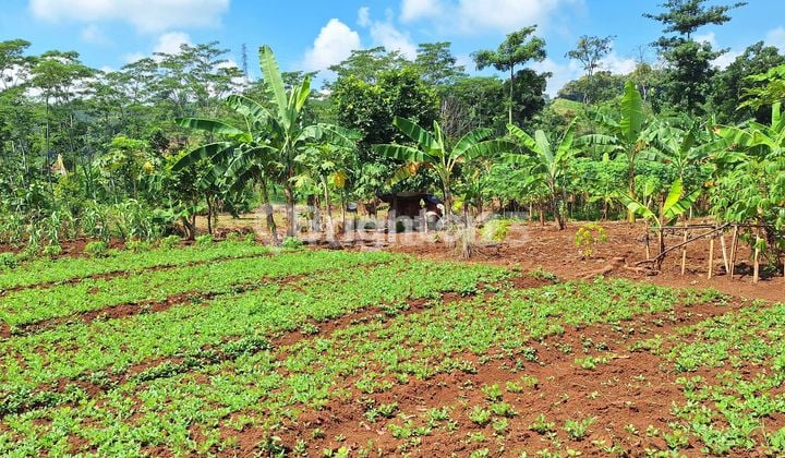 DIJUAL LAHAN KAWASAN INDUSTRI DI KITB