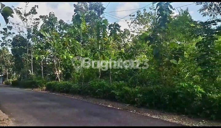 INVESTASI TANAH DI JALUR WISATA GN KIDUL