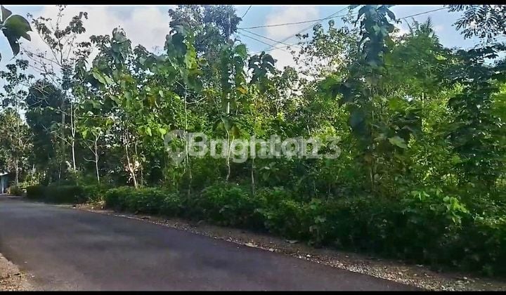 INVESTASI TANAH DI JALUR WISATA GN KIDUL