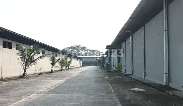 Disewakan Gudang Cikupa Balaraja Tangerang