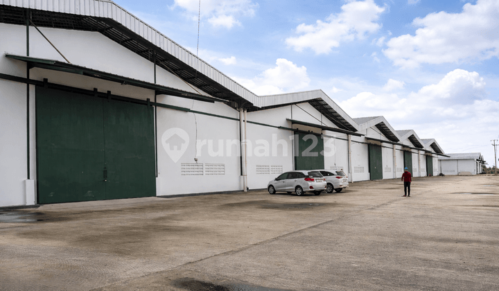 Warehouse for Rent Ready to Use Ciikande Serang