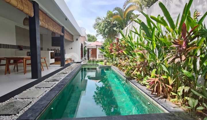 Villa 2 Bedroom Kerobokan Pet Friendly