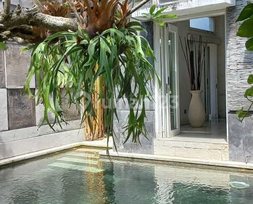 Buc Villa 4Br Nusa Dua Full Furnish