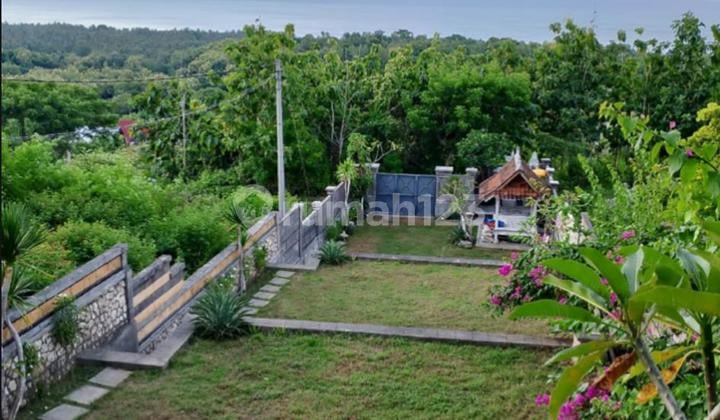 Tanah Bonus Bangunan Rumah Joglo Aktif Disewakan Di Nusa Penida Kesempatan Langka Investasi Menguntungkan!!