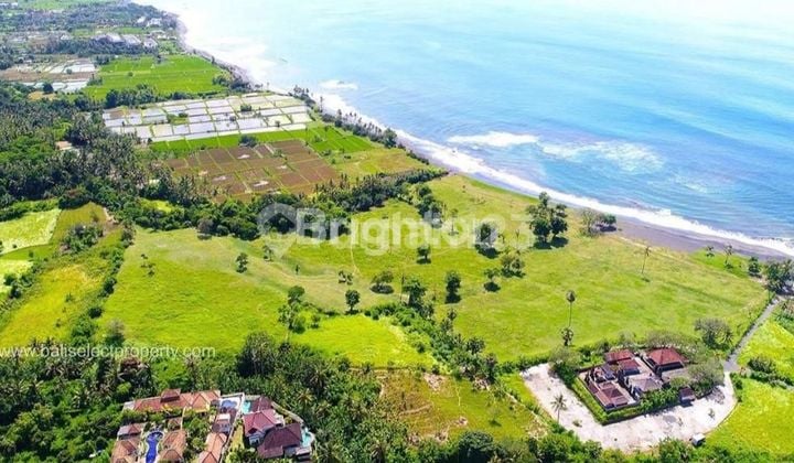 TANAH KAVLING OCEAN VIEW SABA GIANYAR BALI
