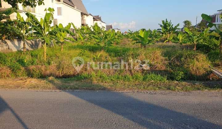 Premium Land 37 Are in Beraban Canggu, Suitable for Commercial Business and Villa Complex