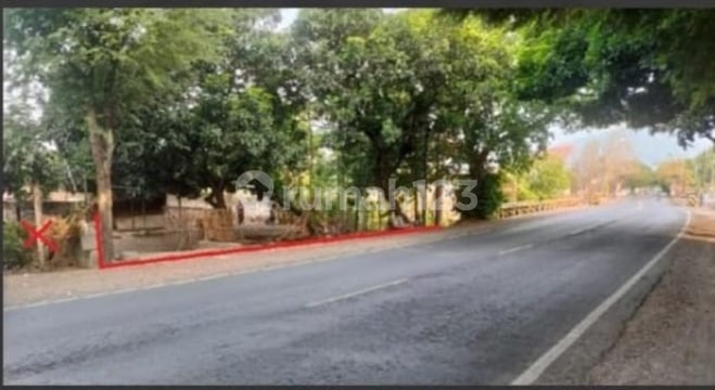 Tanah dan Rumah Raya Situbondo Banyuwangi Murah