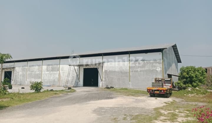 Gudang Ex Pabrik di Kalitengah W0804 Lamongan Murah