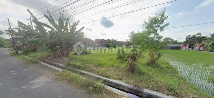 Peluang Investasi Tanah Luas 1.755 Meter Persegi di Tridadi Sleman Lebar Depan Istimewa 32 Meter