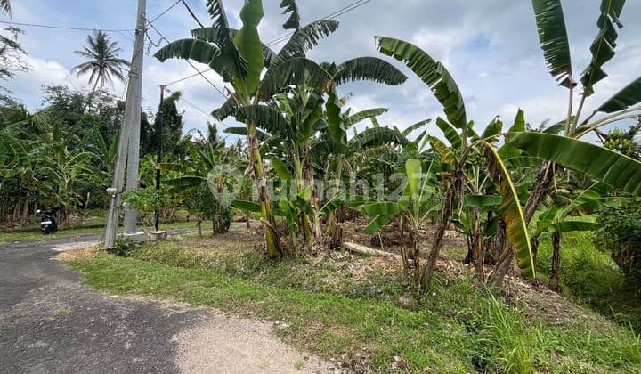 Dijual Tanah di Tabanan Bali