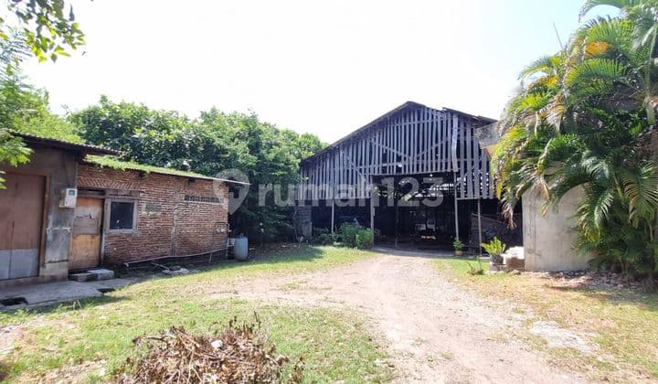 Gudang Ex Gudang Kayu di Kokrosono