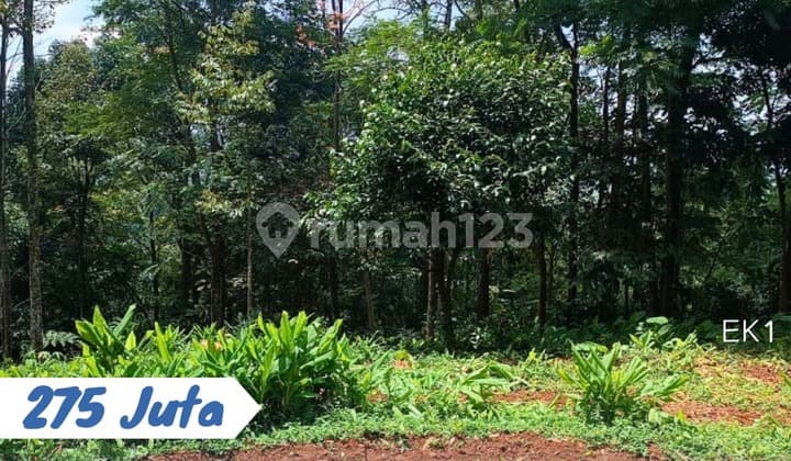 Dijual Tanah Tegal Lokasi Ngargoyoso Karanganyar