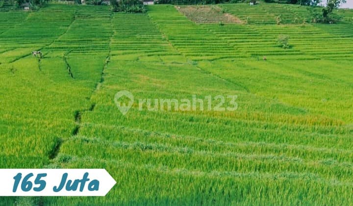 Dijual Tanah Lokasi Karangpandan Status Pekarang