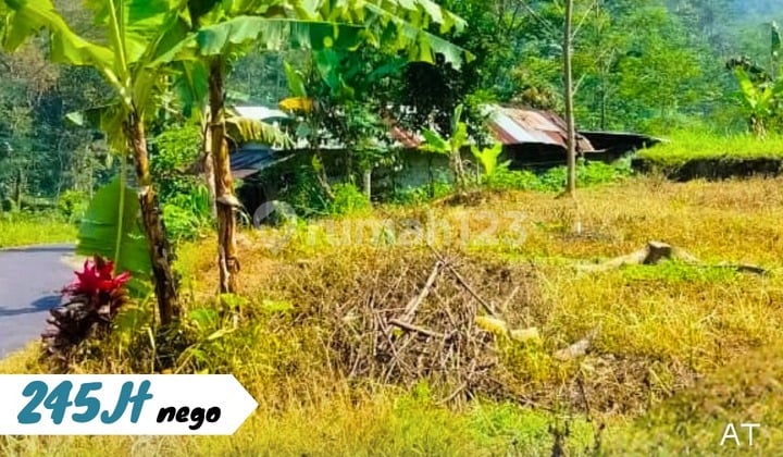 Land for Sale in Tawangmangu Location, Near Atsiri House