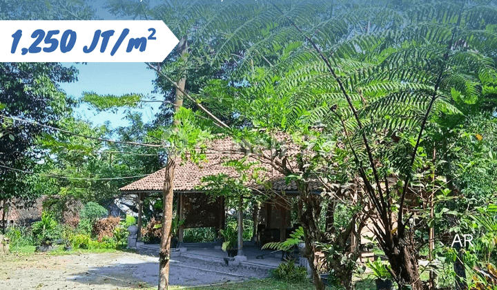 For Sale: Land Plot at Jl Boyong, Sleman, Yogyakarta