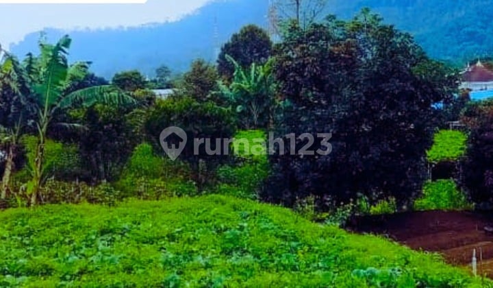 Dijual Tanah Pekarangan di Kemuning Ngargoyoso