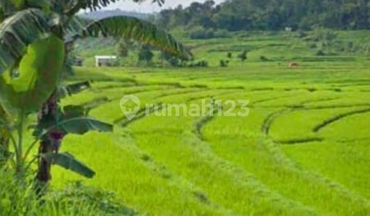 Dijual Tanah Lokasi Karangpandan