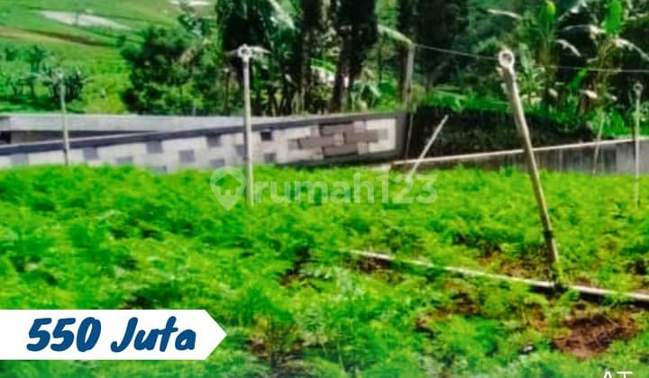 For Sale: Vacant Land in Tawangmangu, Karanganyar
