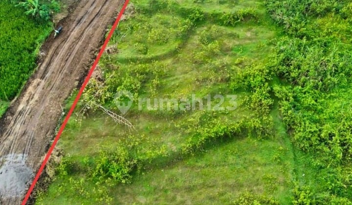 Dijual Tanah di Kawasan Perumahan Kedungjeruk