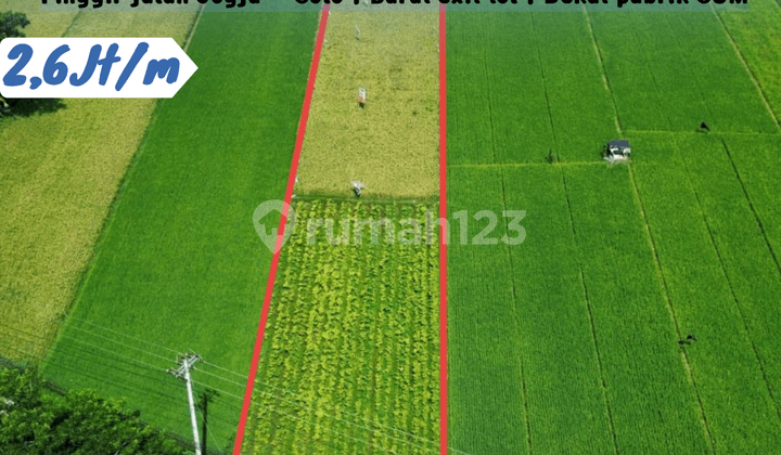 Dijual Sawah Lokasi Sanggrahan, Prambanan