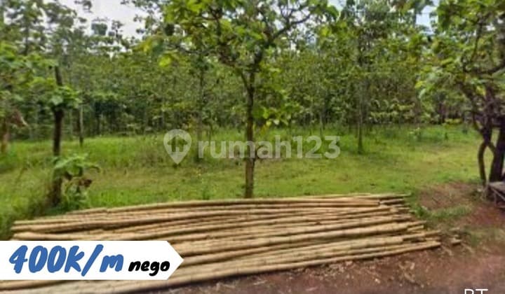 Agricultural Land for Sale in Manyaran, Wonogiri.