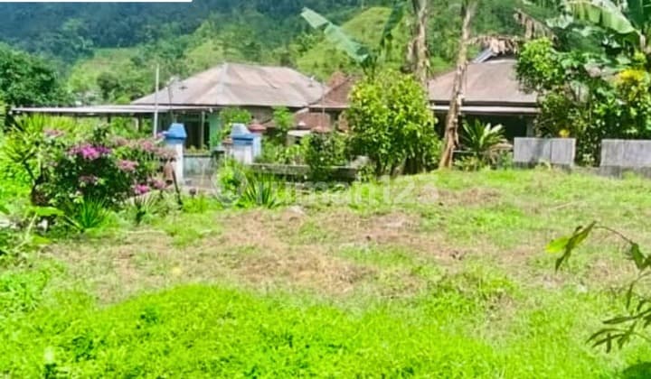 Dijual Tanah Kemuning Ngargoyoso 170 Meter