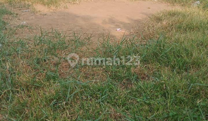 Tanah Di Sewakan Lokasi Karawang Barat 3030m² Shm M²