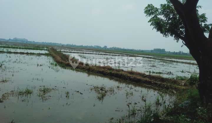 Jual Tanah Zona Kuning Lingkar Tanjung Pura