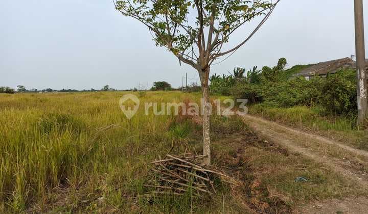 Dijual Tanah. Dekat Irigasi.