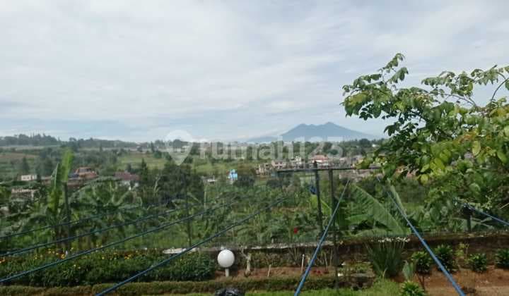 Dijual tanah Puncak Bogor Cocok Untuk dibangun Hunian atau Hotel