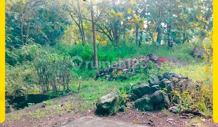 Strategic Land Ready to Build in Nogosari Boyolali, Prime Location Near Airport & Toll Access