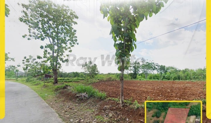 Investasi Tanah Pekarangan Super Luas 4600M² di Gondangrejo