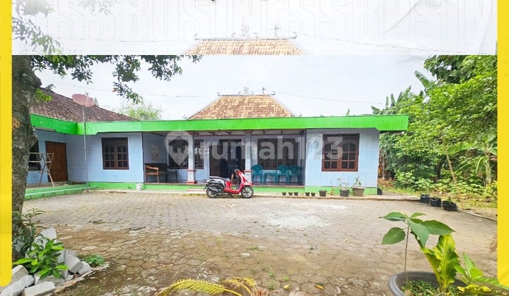 Rumah Halaman Sangat Luas (840m²) di Kepuh, Nguter, Sukoharjo (Strategis Dekat Jalan Raya)