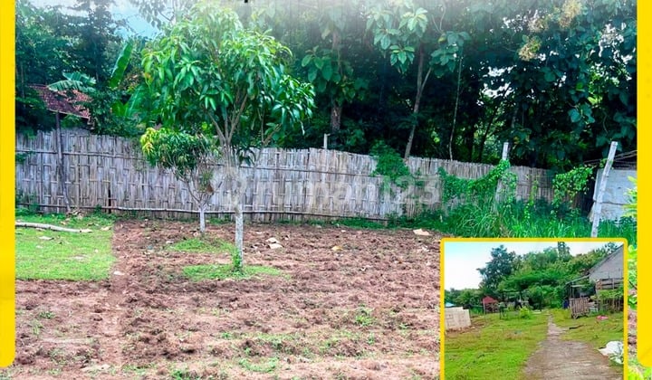 Dijual Tanah Kavling Asri Muka Ekstra Lebar Hadap Utara di Tepisari Polokarto