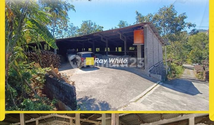 Dijual Ruang Usaha: Kandang Sapi Aktif di Selogiri, Wonogiri – Siap Gas Bisnis Ternak!