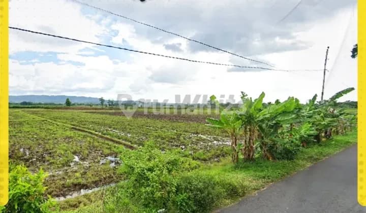 Dijual Tanah Sawah di Nguter, Sukoharjo