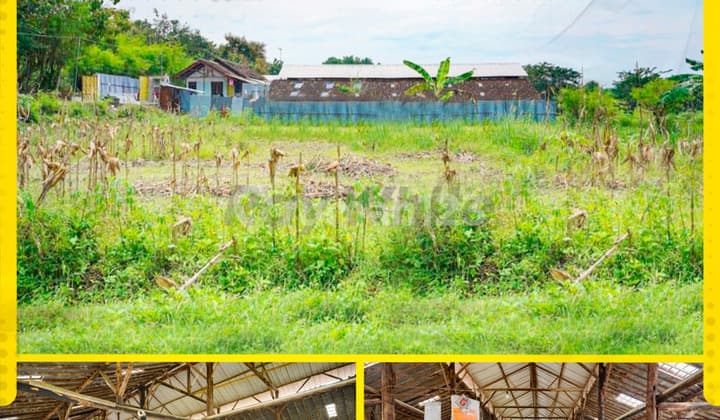 Lahan Luas Strategis Berizin Peternakan di Jeruksawit Gondangrejo, Fasilitas Lengkap