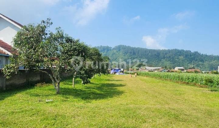Kavling + Rumah Kecil Cibodas Maribaya Lembang Mainroad
