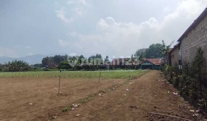 Jual Tanah Kavling Harga Murah Cibodas Maribaya Lembang
