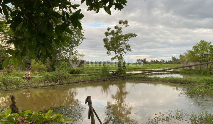 Dijual Tanah Strategis Jln Raya By Pass Kota Padang